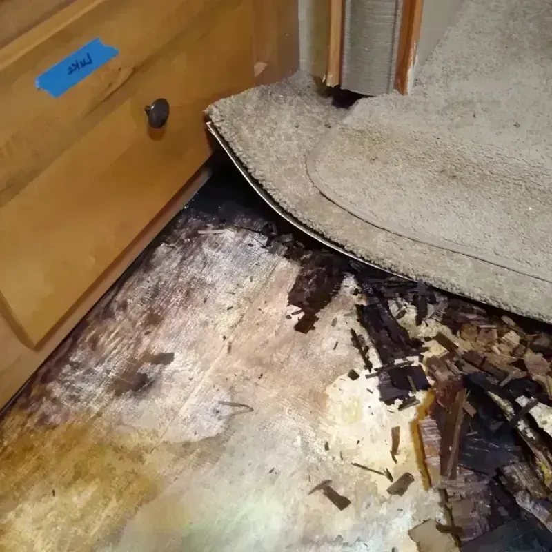 Best Wood Floor Water Damage Service in Kiowa County, CO